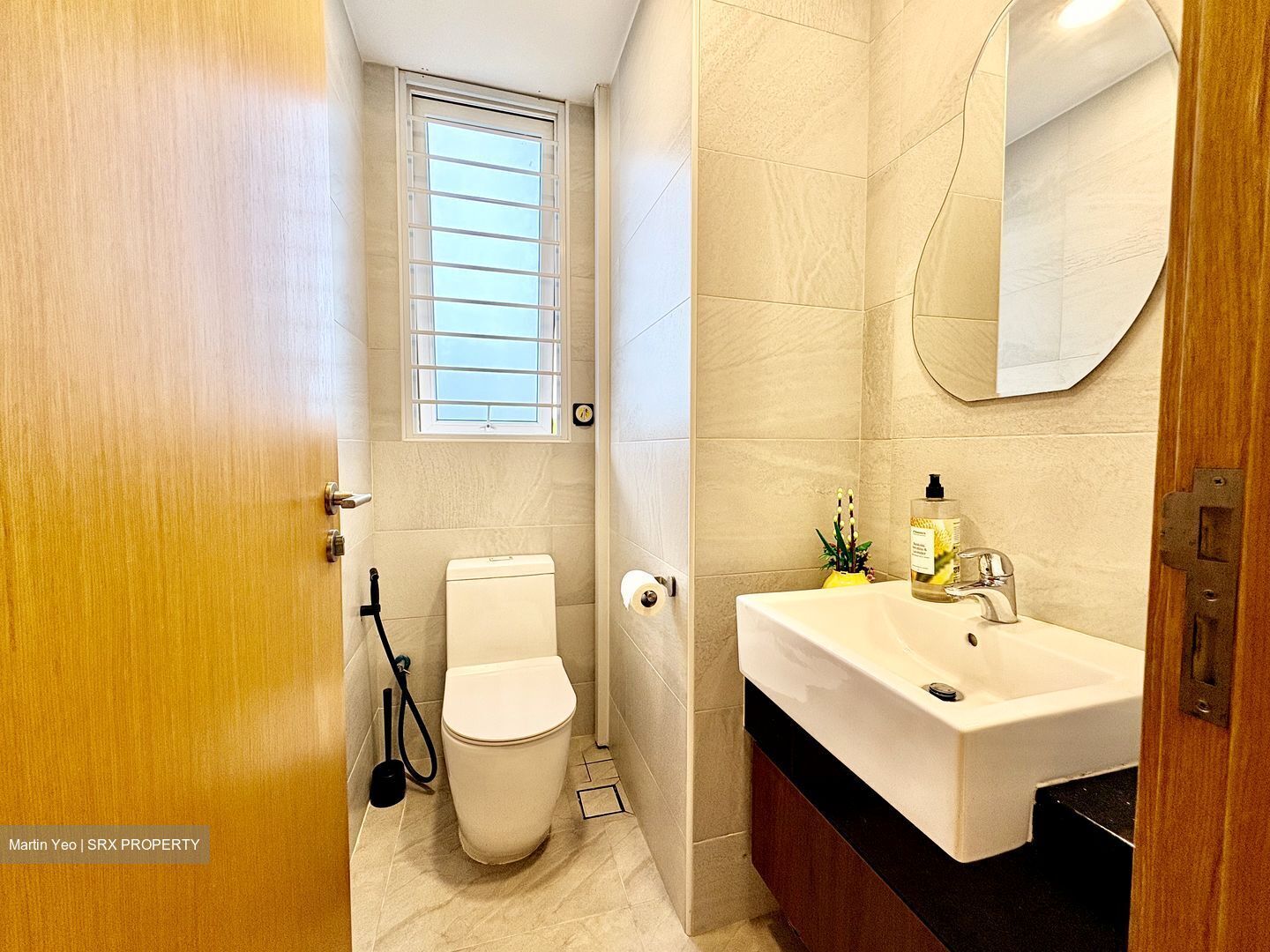 Sunshine Regency (D15), Apartment #520606361